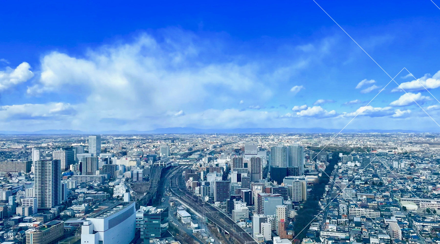 電誠サービス株式会社は誠実さ第一で仕事をします！